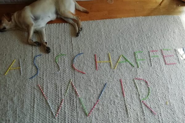 Samuel Lamprecht 1C | Reithmanngymnasium