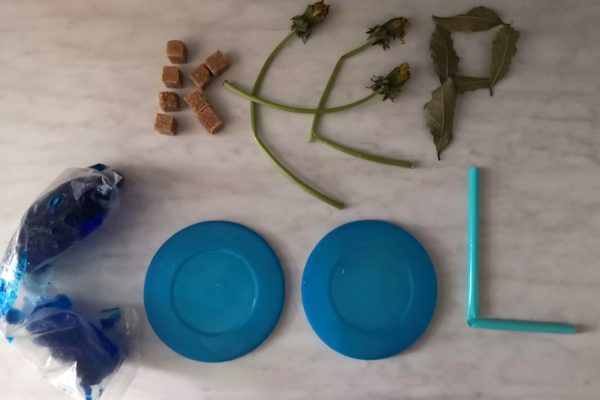 Umut OK 1A | Reithmanngymnasium