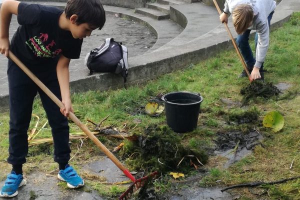Nachmittagsbetreuung Aktivitäten 2022 | Reithmanngymnasium