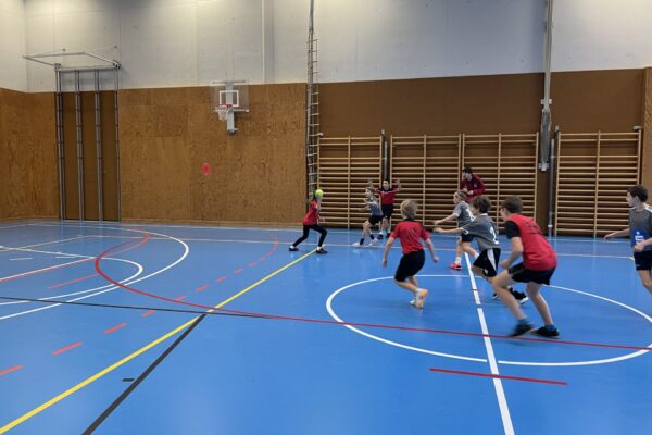 Mattenhandballturnier | Reithmanngymansium