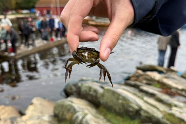 Erasmus+ Kristiansand 2025 | Reithmanngymnasium